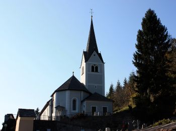 Randonnée A pied Steinfeld im Drautal - Berghöfe Rundweg - Photo