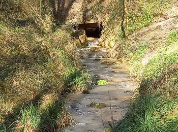 Tour Wandern Andernay - andernay sermaize - Photo