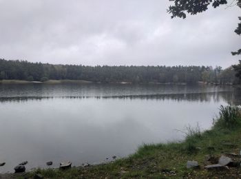 Excursión A pie Plzeň - Sigmondova okružní naučná stezka - Photo