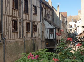 Tour Wandern Montargis - montargis Nicol - Photo