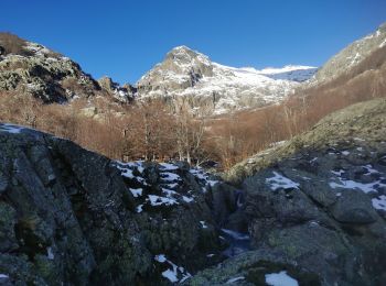 Percorso Marcia Vivario - sortie vers monte doru - Photo