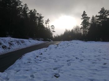 Percorso Marcia Aubure - Col de Freland Pierre des trois bans Aubure - Photo