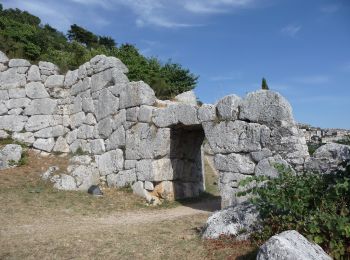 Tour Zu Fuß Segni - Sentiero Storico via della Mola - Photo