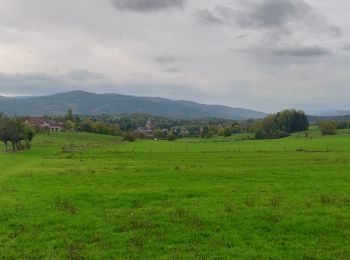 Trail Horseback riding Rosenwiller - 2019-10-27 Picnic CVA Pres du Neubruch - Photo