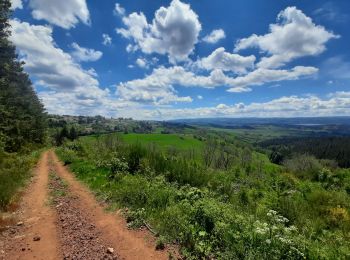 Tour Wandern Le Bouchet-Saint-Nicolas - le bouchet - pradelles - Photo