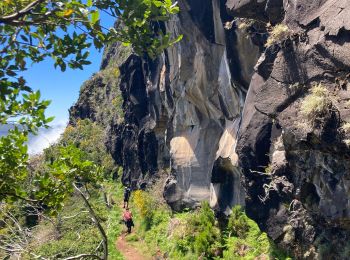 Excursión Senderismo São Roque do Faial - Pico Ruibo - Photo