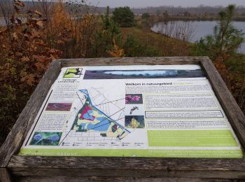 Randonnée Marche Maaseik - Opoeteren _930 - Photo