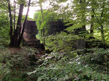 Tocht Mountainbike Marconnelle - Balade historique - Forêt D'HESDIN - Photo