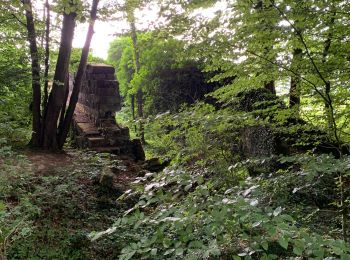 Randonnée V.T.T. Marconnelle - Balade historique - Forêt D'HESDIN - Photo