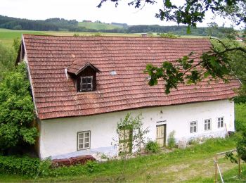 Randonnée A pied Eschenau im Hausruckkreis - Hengstbergrunde - Photo