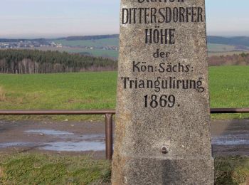 Percorso A piedi Amtsberg - Vom Rundweg Dittersdorf zum Goldenen Hahn - Photo