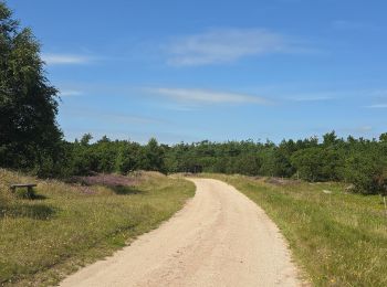 Tocht Fietstoerisme  - Fano découverte cyclo - Photo