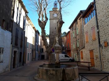 Tocht Stappen La Roquebrussanne - Les Orris - Photo