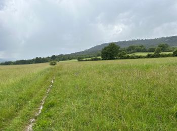 Tocht Stappen Moustiers-Sainte-Marie - Moustier Sainte-Marie lac de Sainte Croix Platteau de Valensole 12,6 kmValenciennes  - Photo