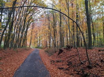 Randonnée Marche Nivelles - Bornival 1119 - Photo