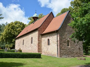 Excursión A pie Fritzlar - Bonifatiuspfad Abschnitt 5, Fritzlar - Borken - Photo