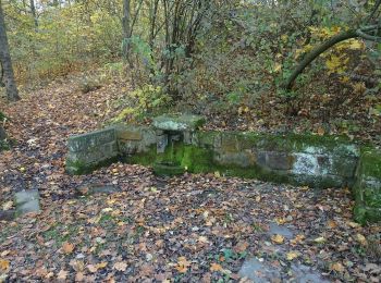 Excursión A pie Nový Jičín - Studánková trasa Puntík - Photo