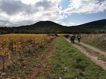 Tocht Stappen Sainte-Anastasie-sur-Issole - Sainte Anastasie - Photo