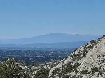 Tocht Stappen Aureille - Aureille Le Gros Calan - Photo