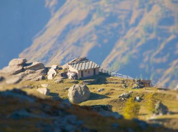 Trail On foot Bobbio Pellice - (SI E23) Rifugio Barbara Lowrie (Grange del Pis) - Villanova Pellice - Photo