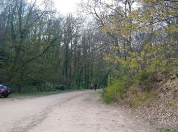 Trail Walking Châtel-Guyon - Rochepradiere-Le Colombier-Chazeron - Photo