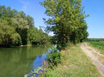 Tour Wandern Rivarennes - Rivarennes - Circuit 1 - 18.2km 225m 3h55 - 2020 07 13 - Photo