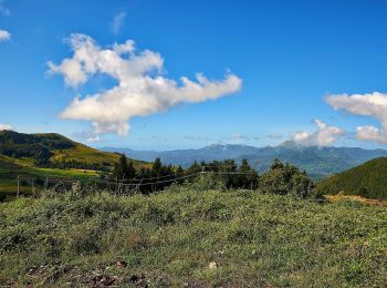 Excursión A pie Varese Ligure - Passo di Cento Croci - Passo della Cappelletta - Photo