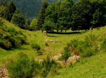 Percorso Marcia Oderen - TREK ALSACIEN (1ère étape) - Photo