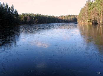 Randonnée A pied Vihti - Takalan polku - Photo