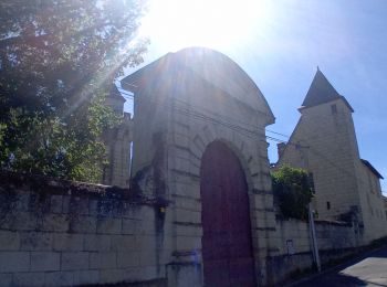 Randonnée Marche Saumur - Dampierre sur Loire - Photo