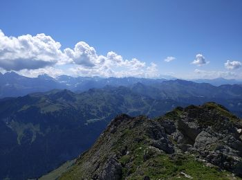 Tour Wandern Châtel - le mont de grange - Photo