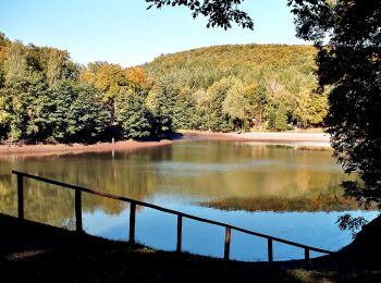 Excursión A pie Sangerhausen - Von Wettelrode zum Kalmusgrund - Photo