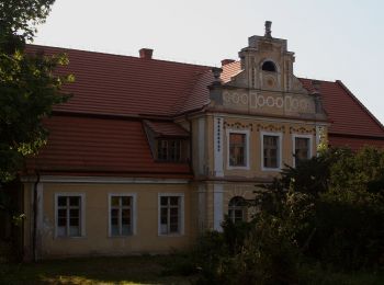 Tocht Te voet  - Międzychód - Kamionna - Lewice - Photo