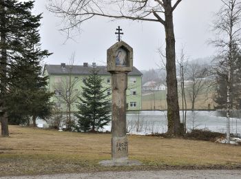 Trail On foot Bad Leonfelden - Miesenwald-Runde - Photo