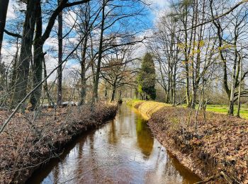 Tocht Stappen Halen - La vallée du Zwarte Beek à Zelem - Photo