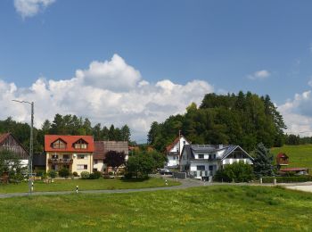 Randonnée A pied Obertrubach - Trubachweg - Photo