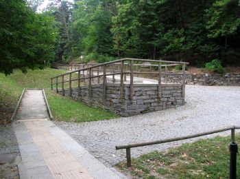 Tour Zu Fuß Ghiffa - R10 Sacro Monte S.S.Trinità di Ghiffa - Pollino - Piancavallo - Colle - Passo Folungo - Photo