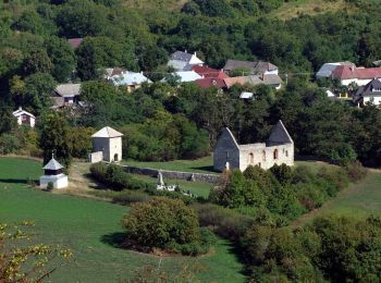 Excursión A pie okres Nové Mesto nad Váhom - Náučný chodník 