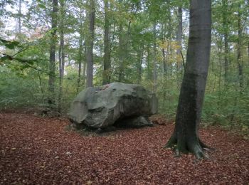 Trail On foot Schöningen - Elm Rundwanderweg 2 - Photo