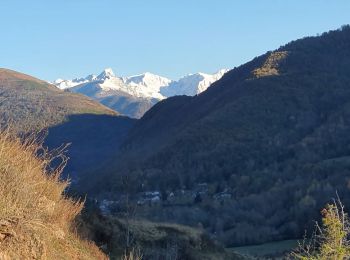 Trail Walking Vèbre - rocher de Courbas - Photo