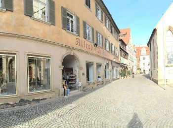 Tocht Te voet Rottenburg am Neckar - Rottenburg-Rammert - Photo