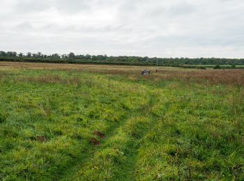 Trail On foot King's Lynn and West Norfolk - Circular Walk - Photo