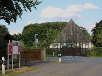 Tour Zu Fuß Mettingen - Teutoschleifchen Köllbachtal - Photo