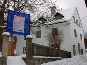 Tour Zu Fuß Gemeinde Trattenbach - Wittgenstein Rundwanderweg T2 - Photo