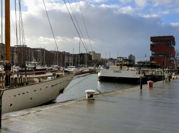 Trail Walking Antwerp - TT - Anvers Downtown - Photo