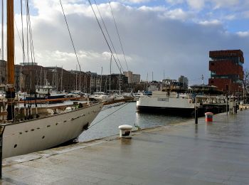 Randonnée Marche Anvers - TT - Anvers Downtown - Photo