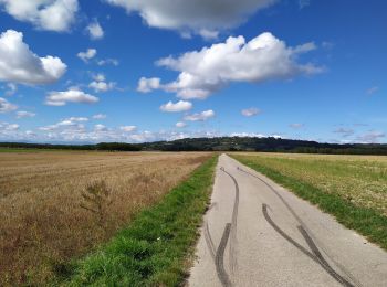 Randonnée Marche La Côte-Saint-André - revel tourdan - Photo