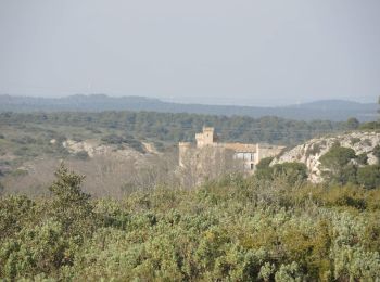 Tocht Stappen Lambesc - SityTrail - lambesc la barben 3 - Photo