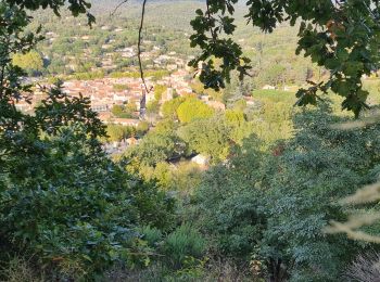 Tour Wandern Collobrières - collobrieres, Lambert, laquina - Photo