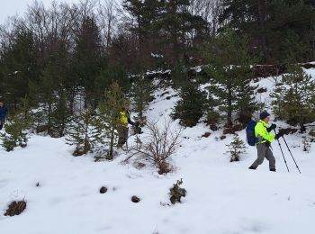 Tour Schneeschuhwandern Villard-de-Lans - glovette Roybon réel  - Photo